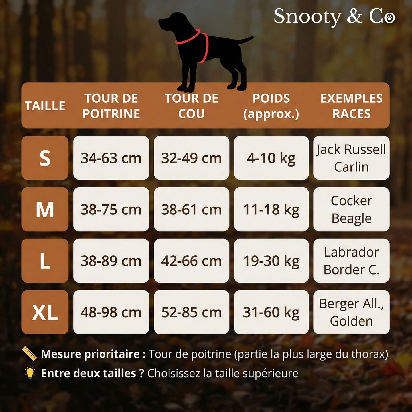 HARNAIS ANTI-TRACTION SNOOTY™