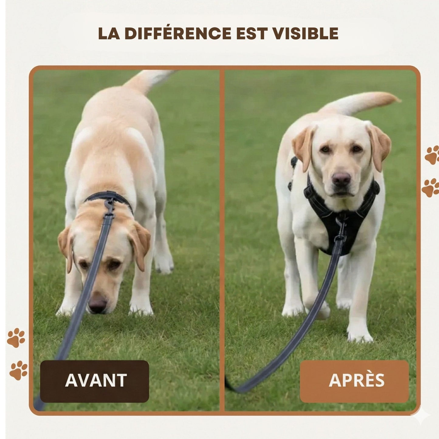 HARNAIS ANTI-TRACTION SNOOTY™