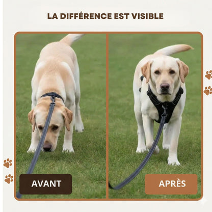 HARNAIS ANTI-TRACTION SNOOTY™