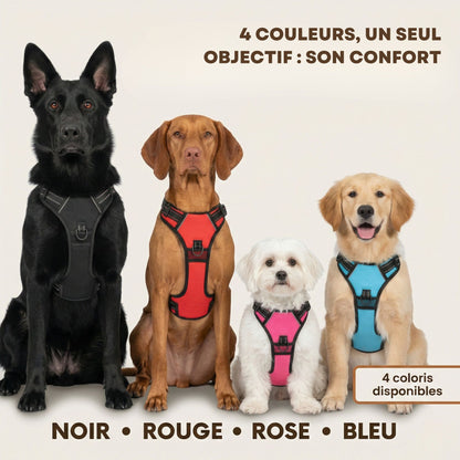 HARNAIS ANTI-TRACTION SNOOTY™