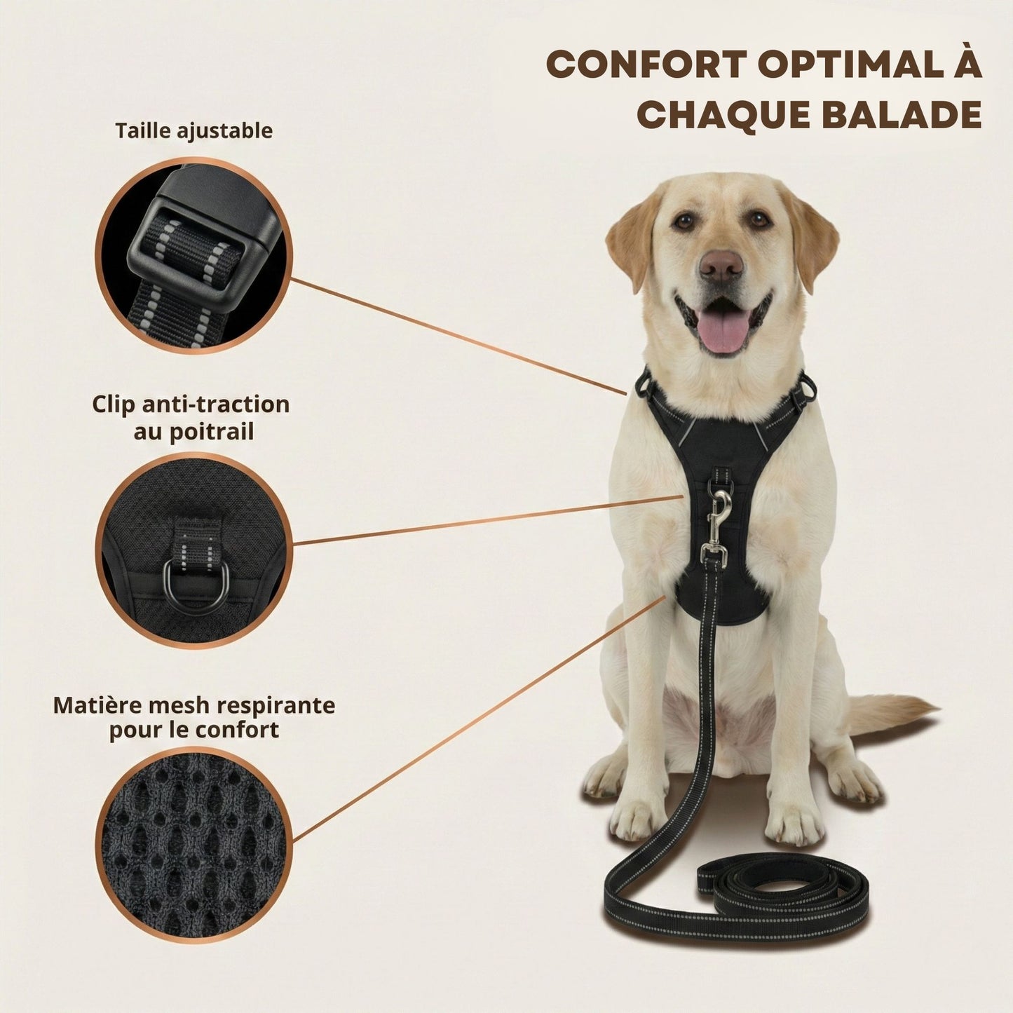 HARNAIS ANTI-TRACTION SNOOTY™