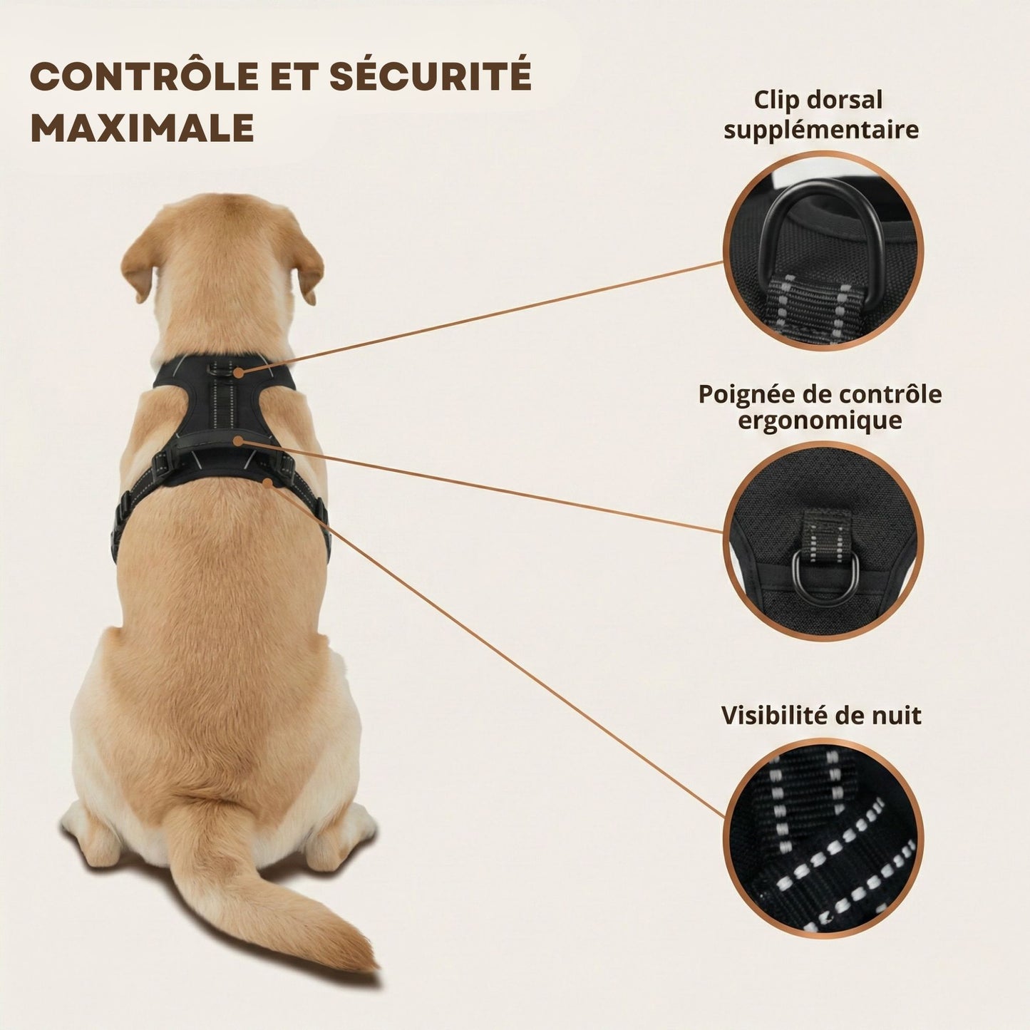 HARNAIS ANTI-TRACTION SNOOTY™