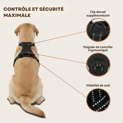 HARNAIS ANTI-TRACTION SNOOTY™