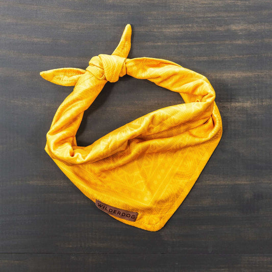 BANDANA MUSTARD
