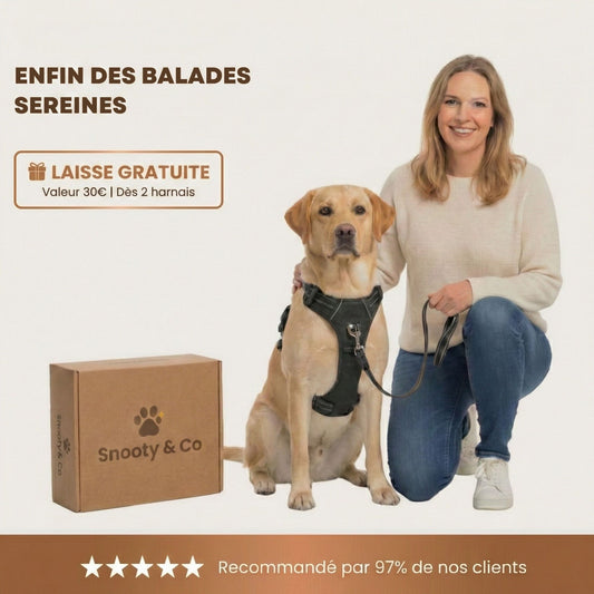 HARNAIS ANTI-TRACTION SNOOTY™