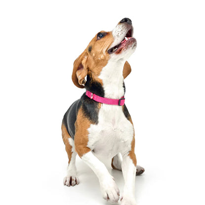 COLLIER - PARK AVE PINK