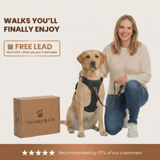 SNOOTY™ NO-PULL HARNESS