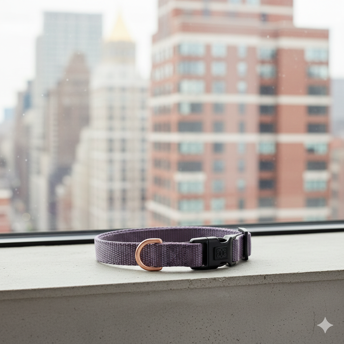 COLLIER - LILAC GRAY