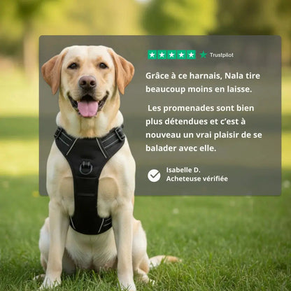 HARNAIS ANTI-TRACTION SNOOTY™